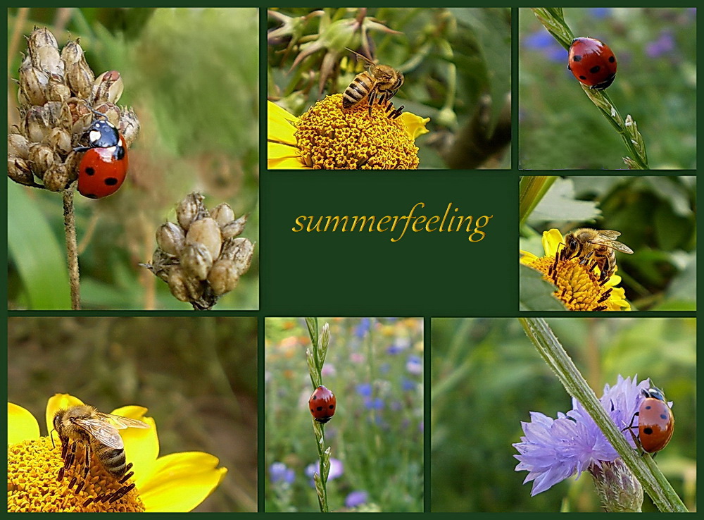 Sommerfeeling