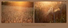 Sommerfeeling