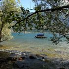 Sommerfeeling am Lago Maggiore