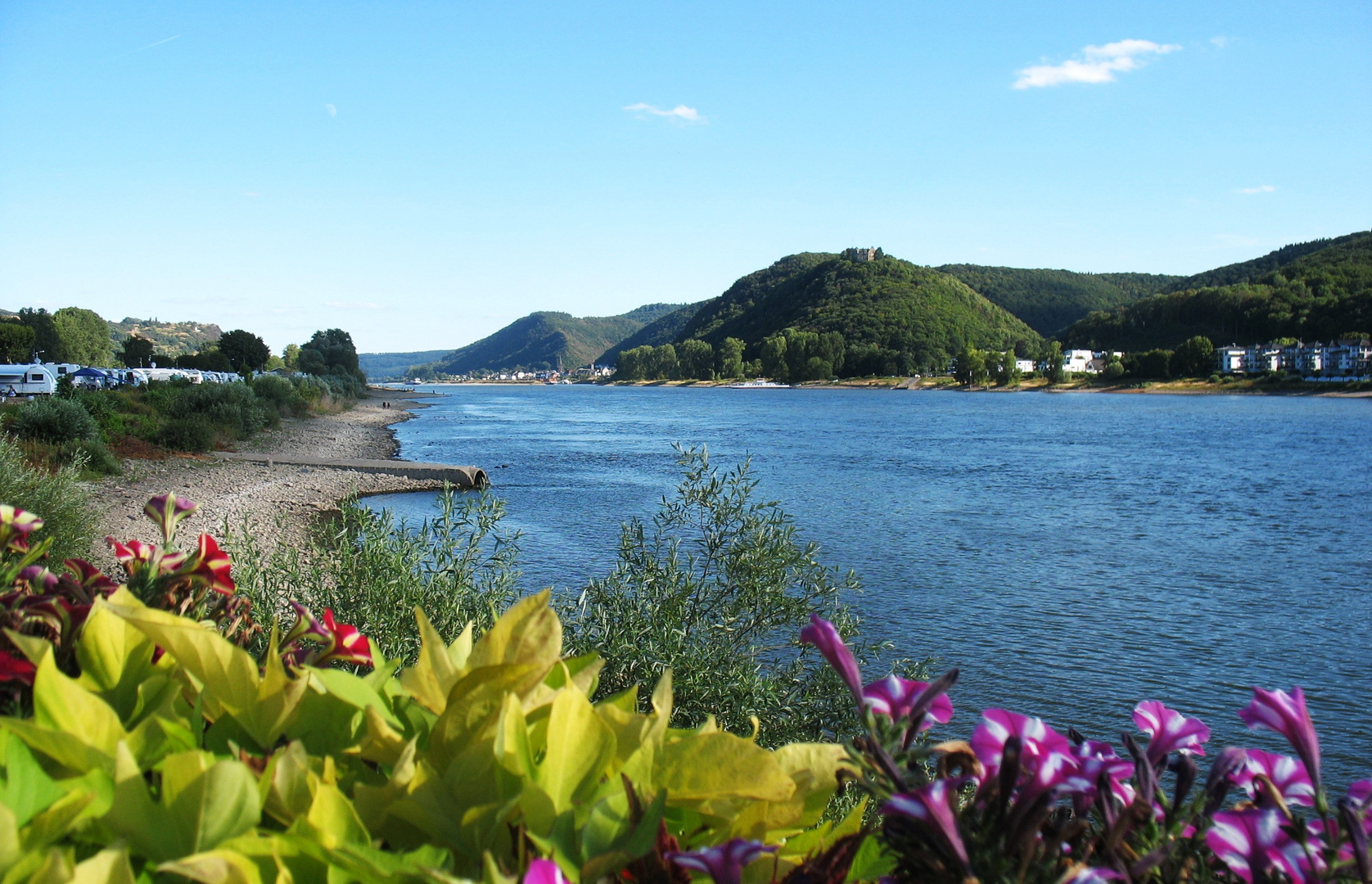 Sommerfeeling am Rhein!