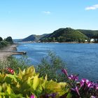 Sommerfeeling am Rhein!