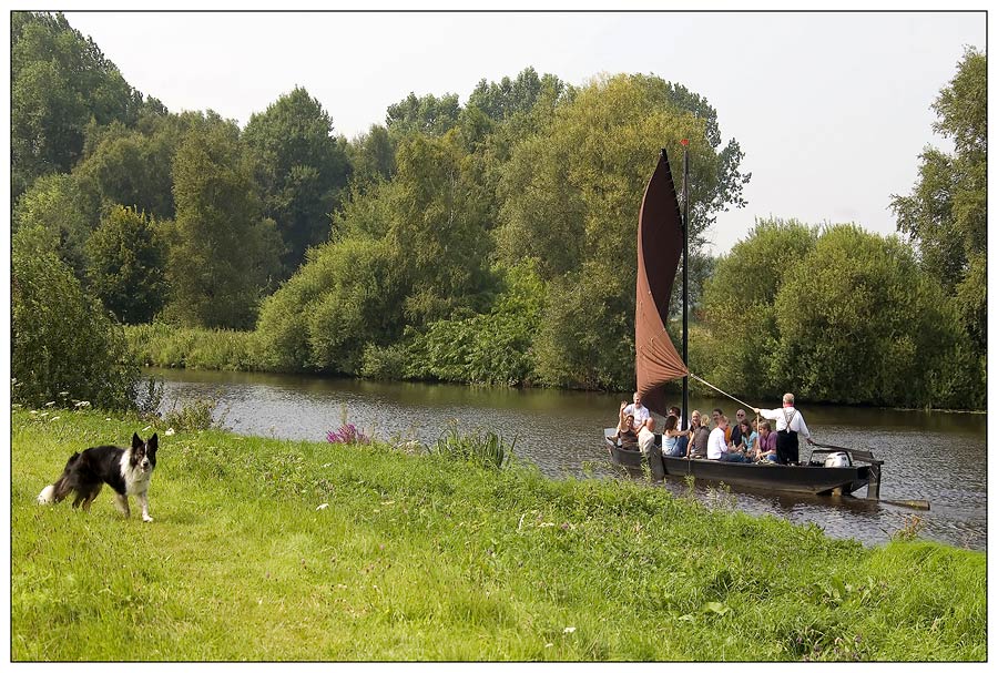 Sommerfeeling an der Hamme, oder....