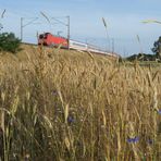 Sommerfeeling in Doberlug-Kirchhain