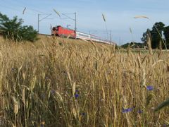 Sommerfeeling in Doberlug-Kirchhain