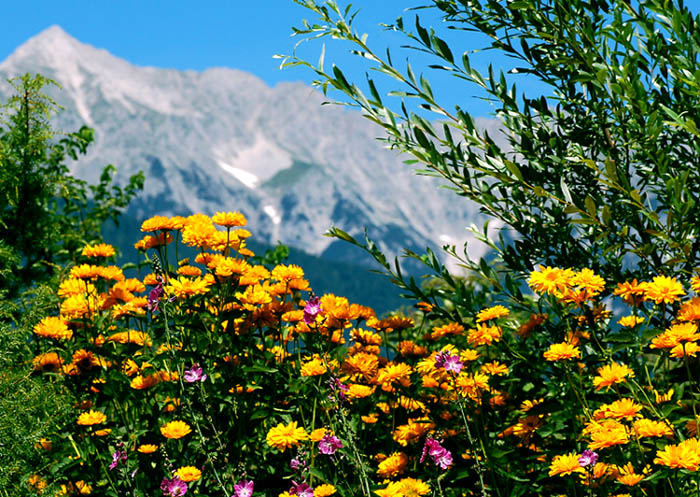 Sommerfeeling in Tirol von Yan Bomber