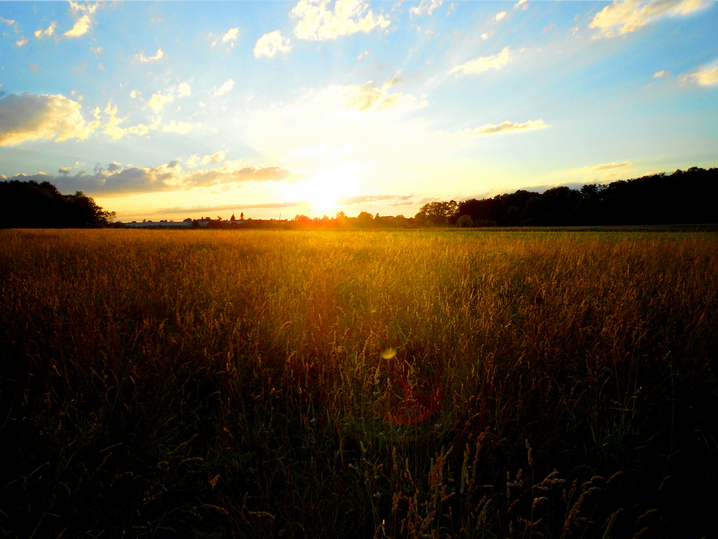 Sommerfeld Foto & Bild landschaft, Äcker, felder & wiesen, sommer