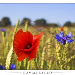 Sommerfeld