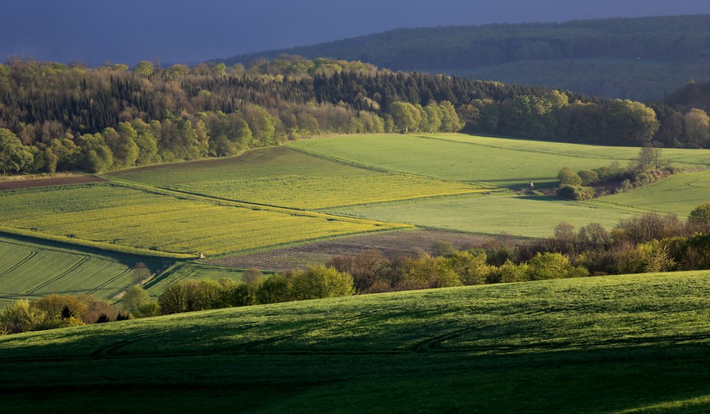 Sommerfeld im Weserbergland