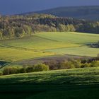 Sommerfeld im Weserbergland