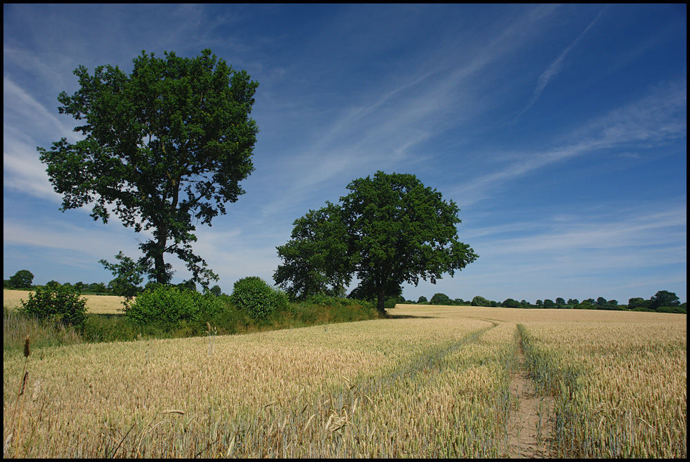 Sommerfeld - Summerfield