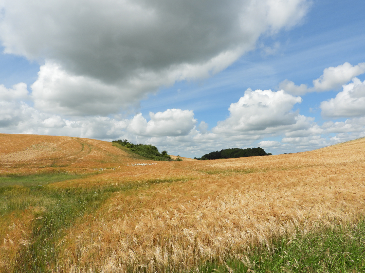 Sommerfelder