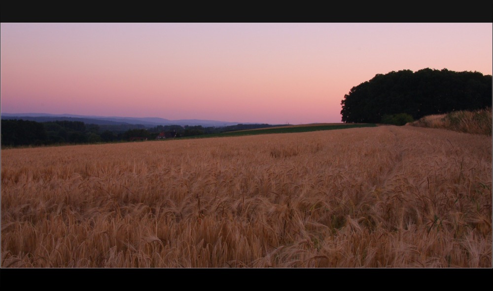 Sommerfelder