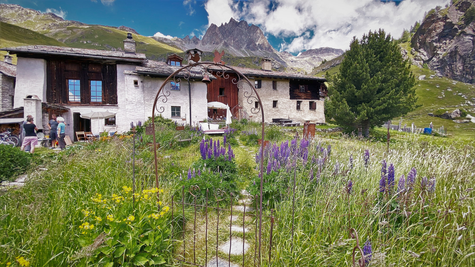 Sommerferien auf der Alp