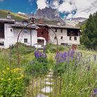 Sommerferien auf der Alp