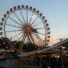 Sommerfest im Olympiapark...