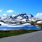 Sommerfjell b.Balestrand