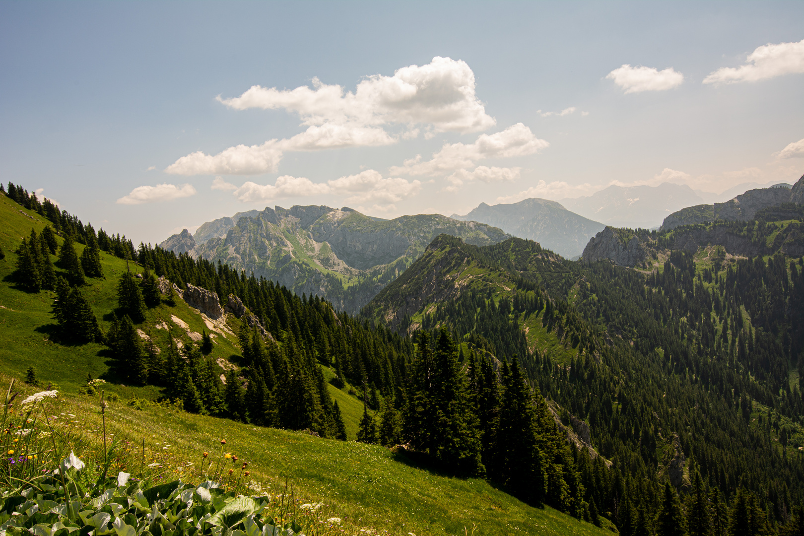 Sommerfoto