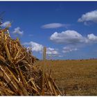 Sommerfoto - das dritte Beispiel