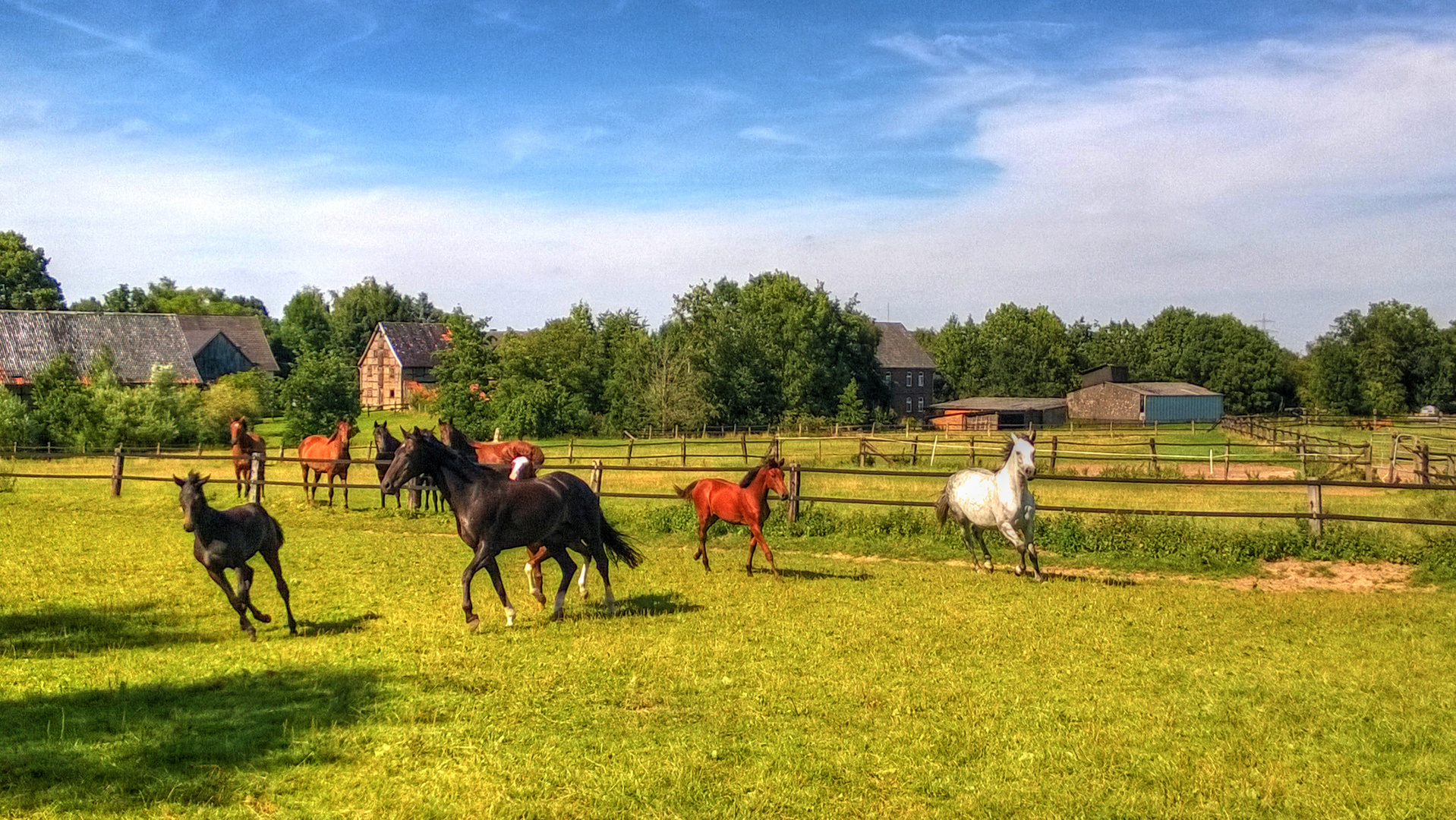 Sommerfreude