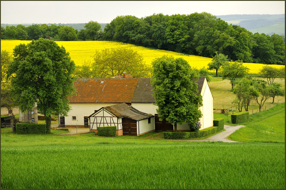 " Sommerfreude "