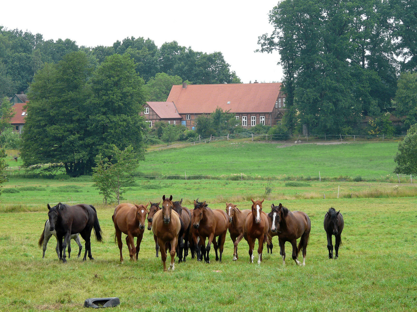 Sommerfreuden