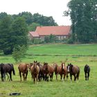 Sommerfreuden