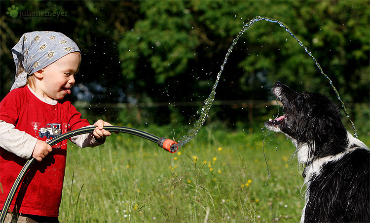 Sommerfreuden