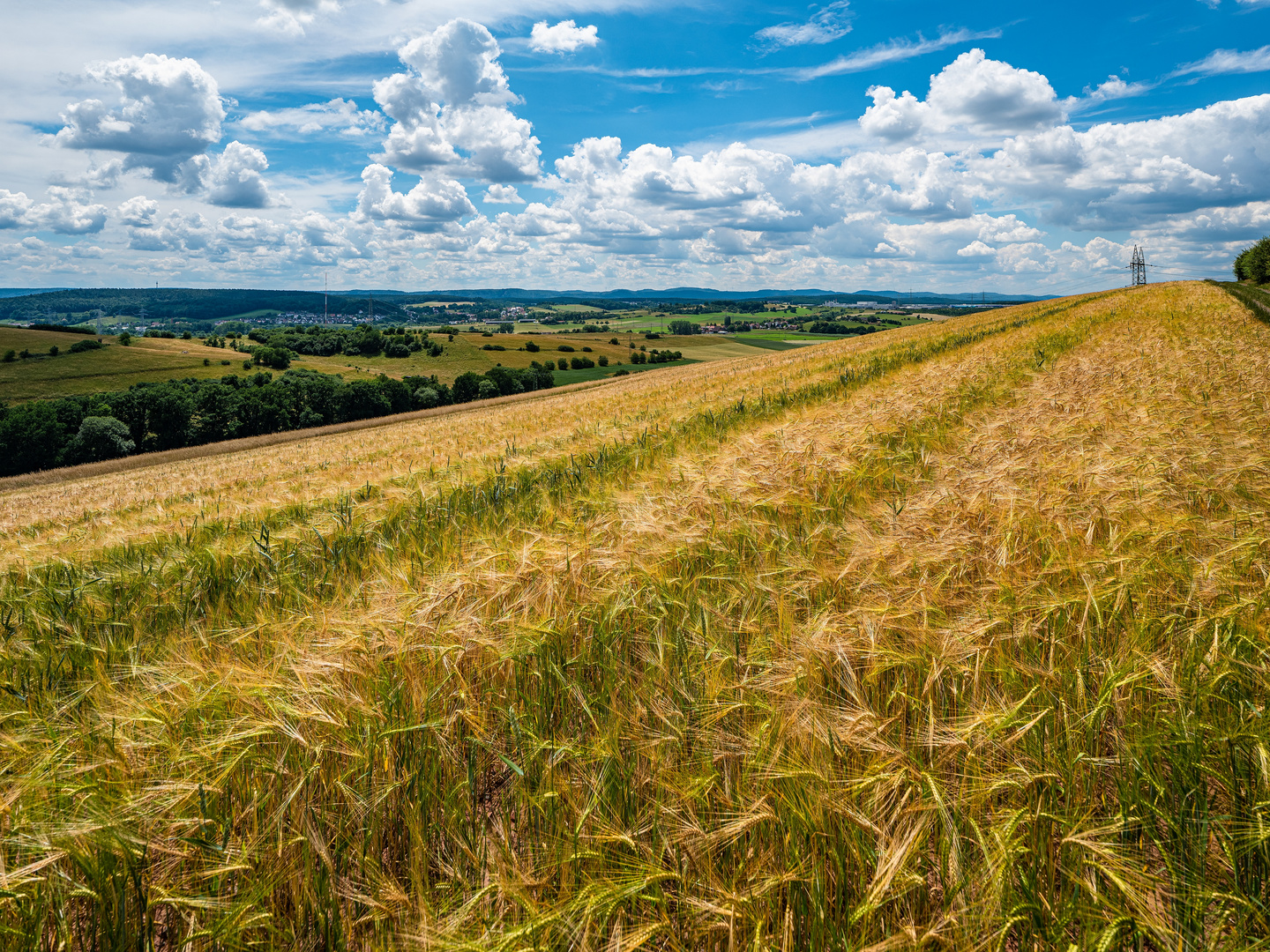 Sommerfrische