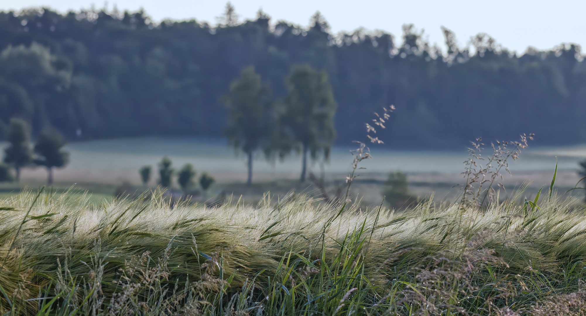 Sommerfrische