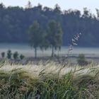 Sommerfrische