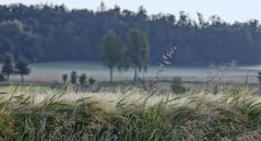 Sommerfrische