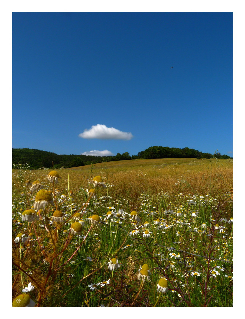 Sommerfrische.. *