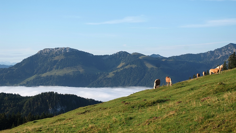 Sommerfrische