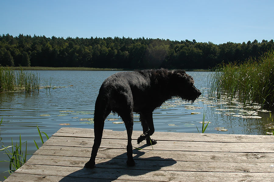 Sommerfrische