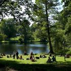 Sommerfrische am Waldsee,