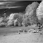 Sommerfrische an der Elbe