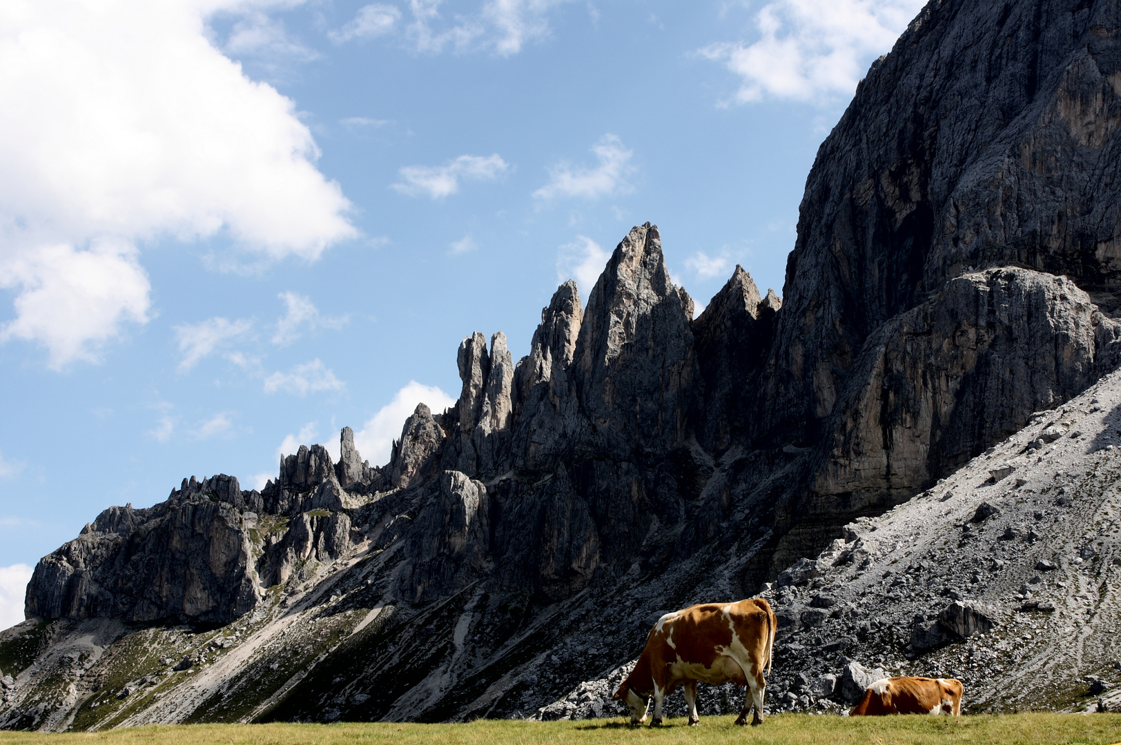 Sommerfrische auf dem Würzjoch