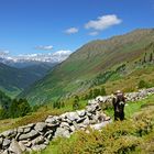 Sommerfrische auf der Ochsenalm