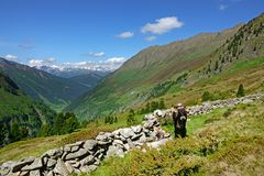 Sommerfrische auf der Ochsenalm