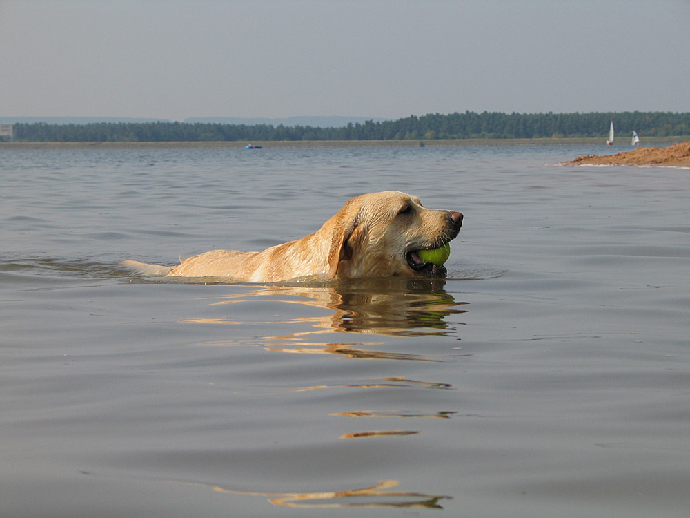 Sommerfrische