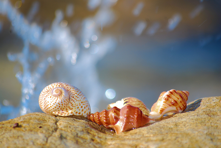 Sommerfrische. Ein Moment am Meer!