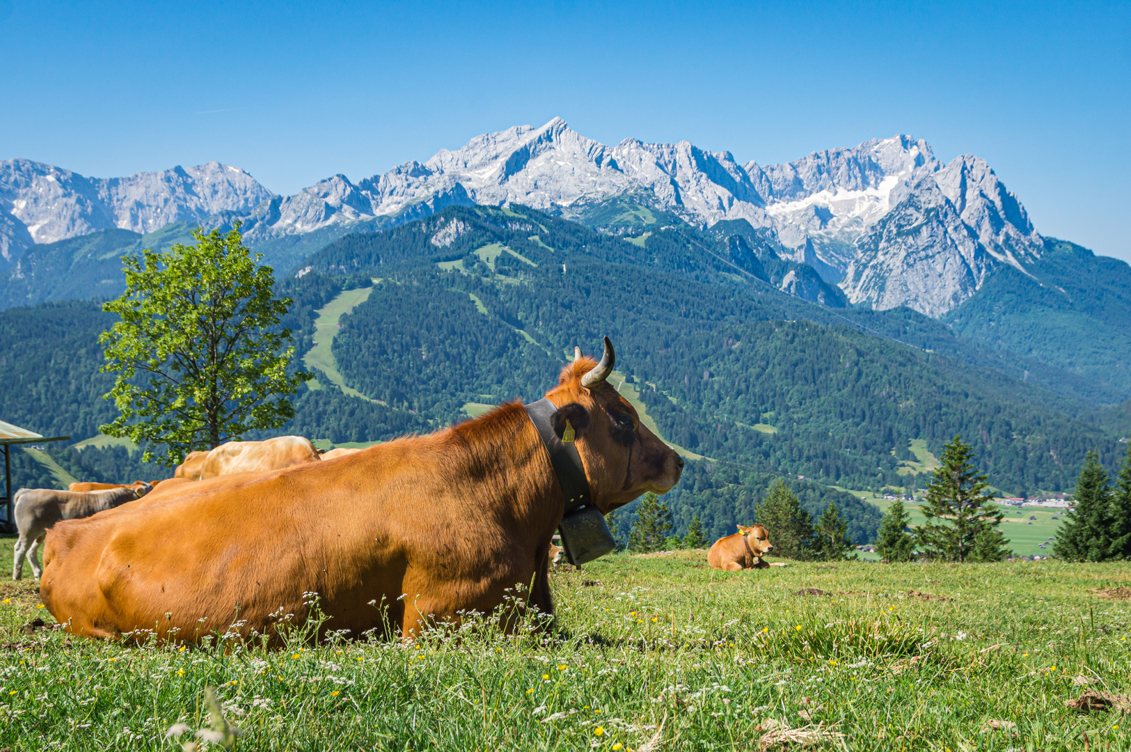 Sommerfrische