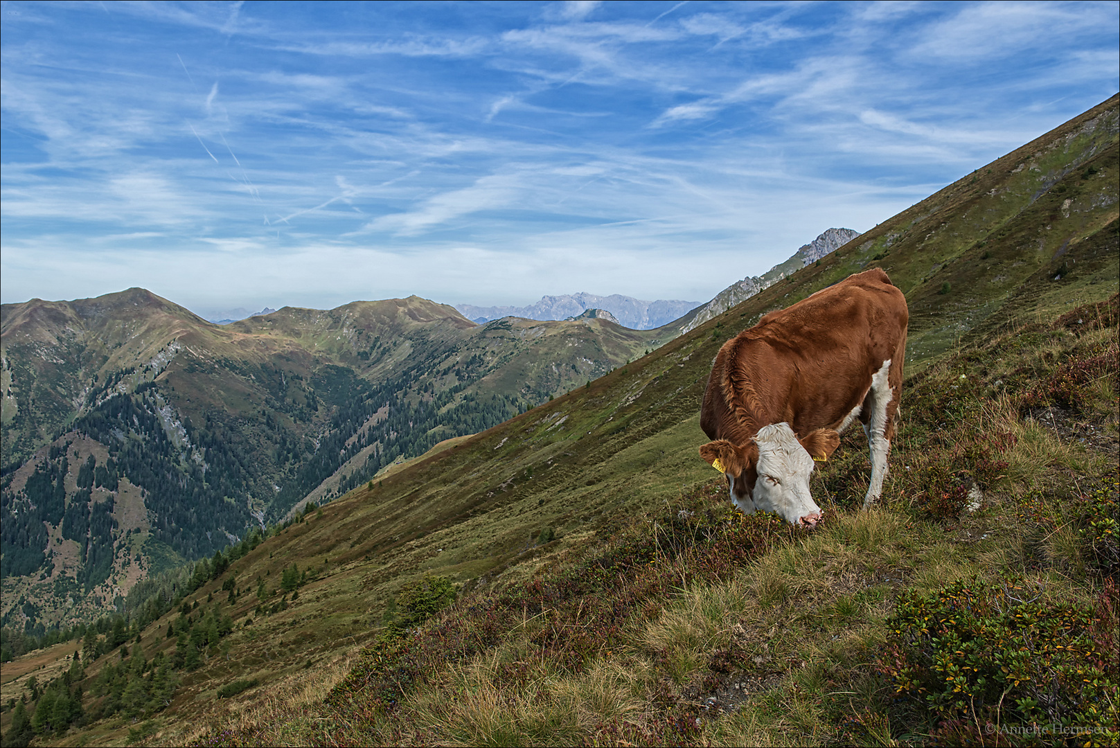 Sommerfrische