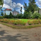 Sommerfrische im Käthe Kollwitz Park