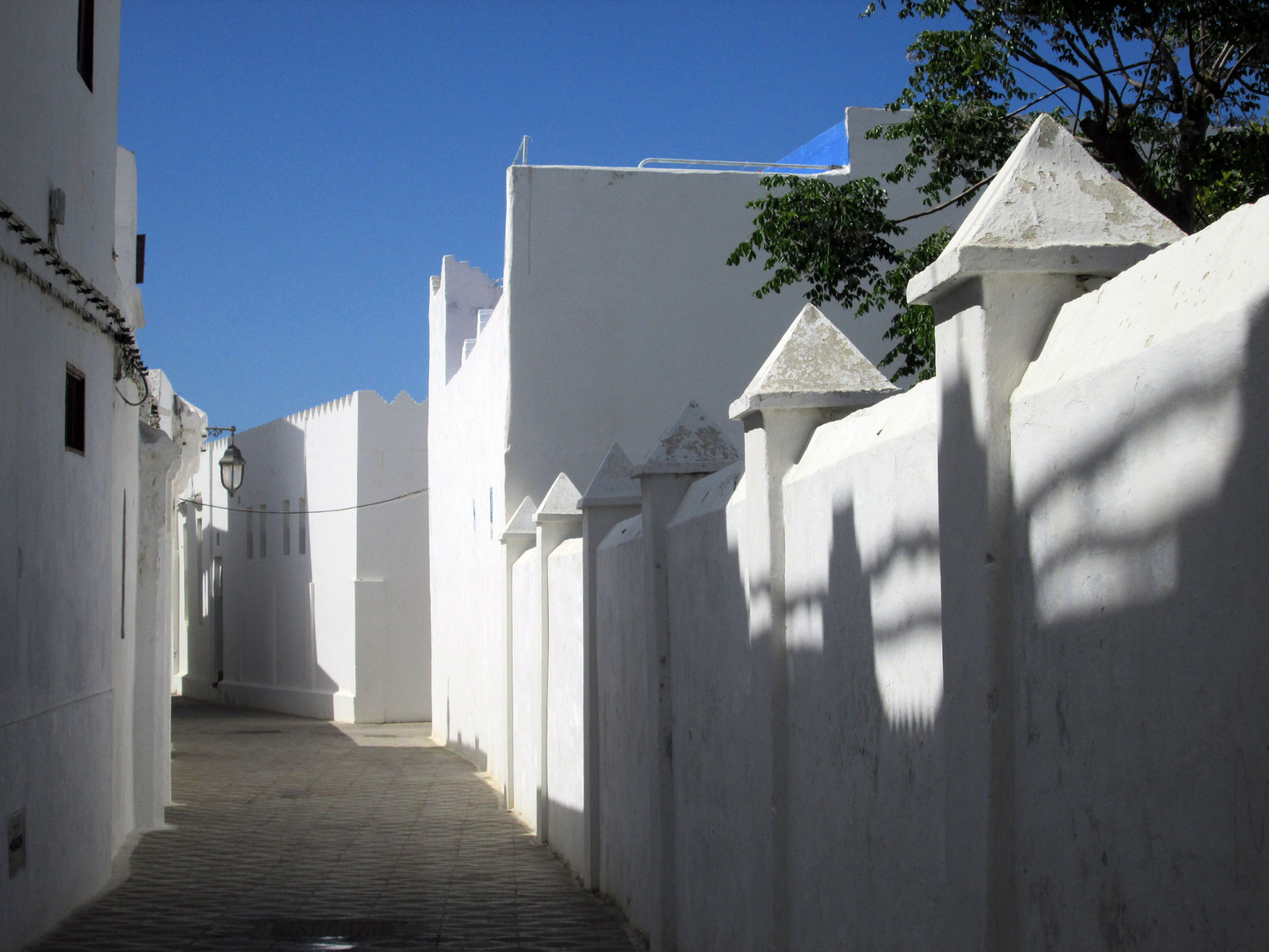 Sommerfrische in Asilah