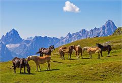 Sommerfrische vor der Kulisse der Sextener Dolomiten