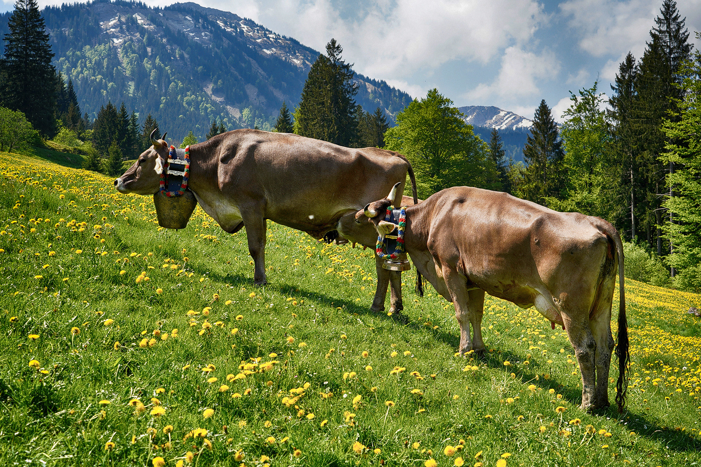 Sommerfrischler