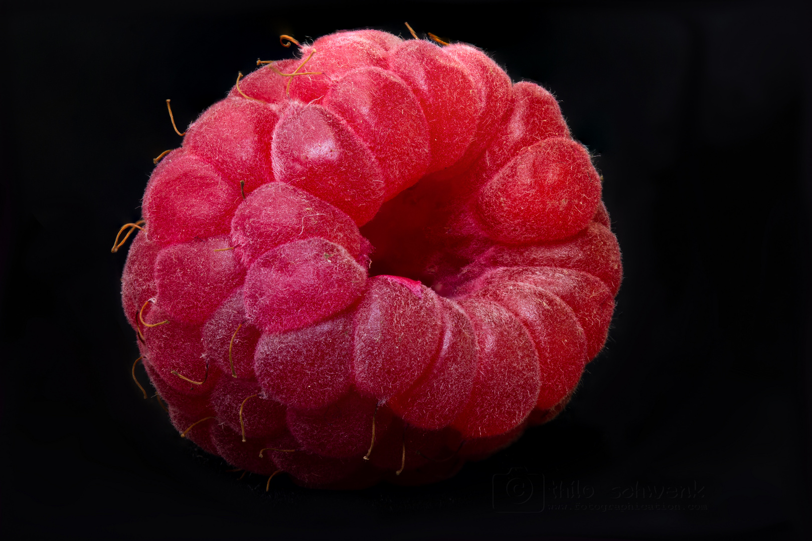 Sommerfrucht Foto &amp; Bild | rot, sommer, natur Bilder auf fotocommunity