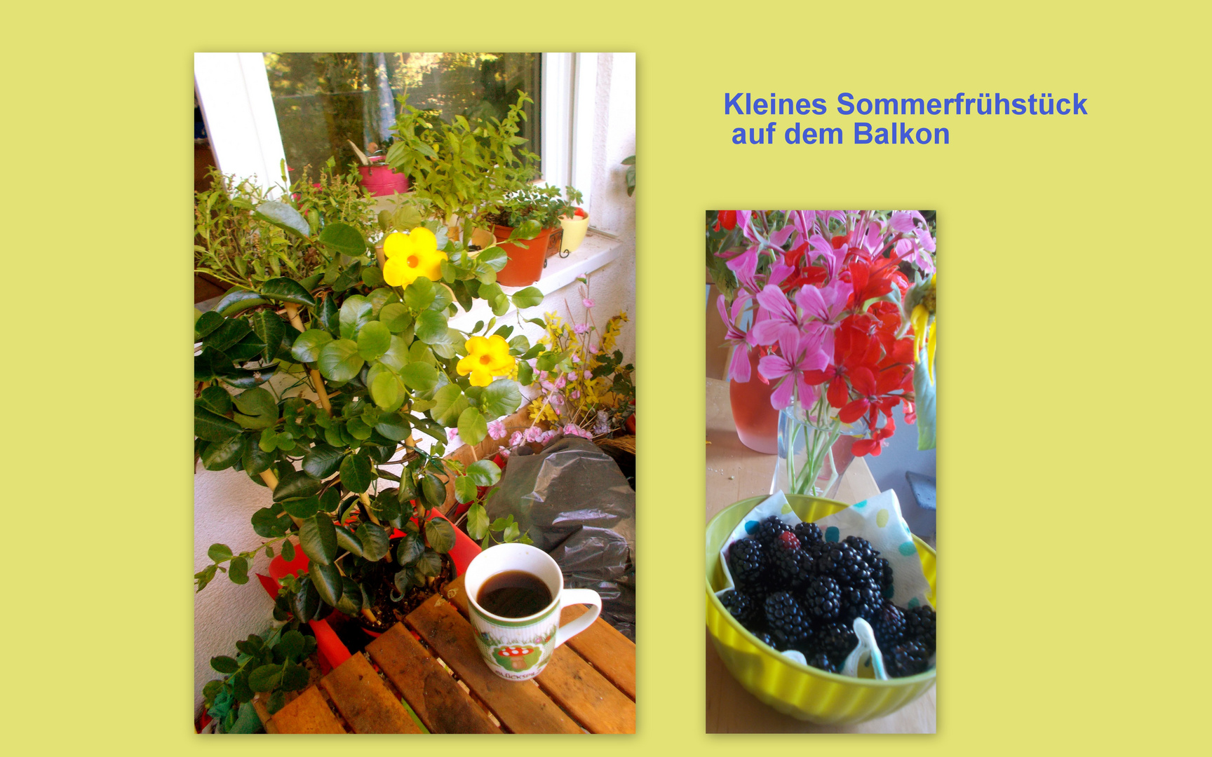 Sommerfrühstück Teil 1 ;-)