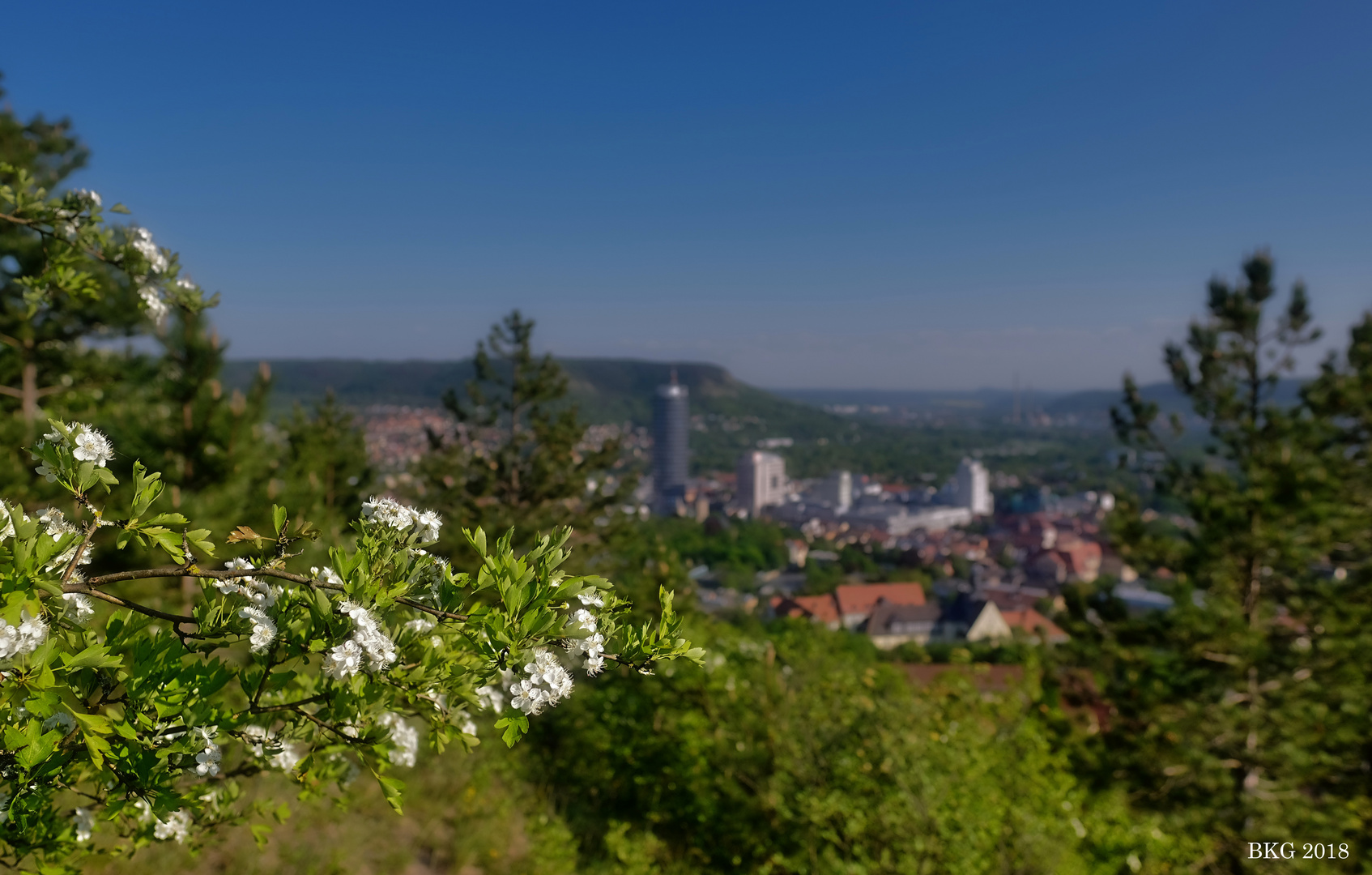 Sommerfruhling über Jena 